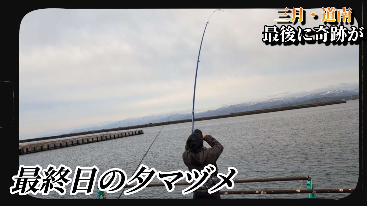 【道南投げ釣り】最後に釣れた一泊二日釣り車中泊。#北海道釣り #投げ釣り#ホッケ#アイナメ  