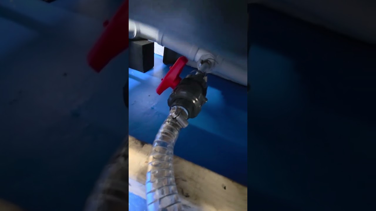 Enclosed Softwash Trailer Setup Part 2 #softwash #powerwashing #pressurewashing #softwashtrailer