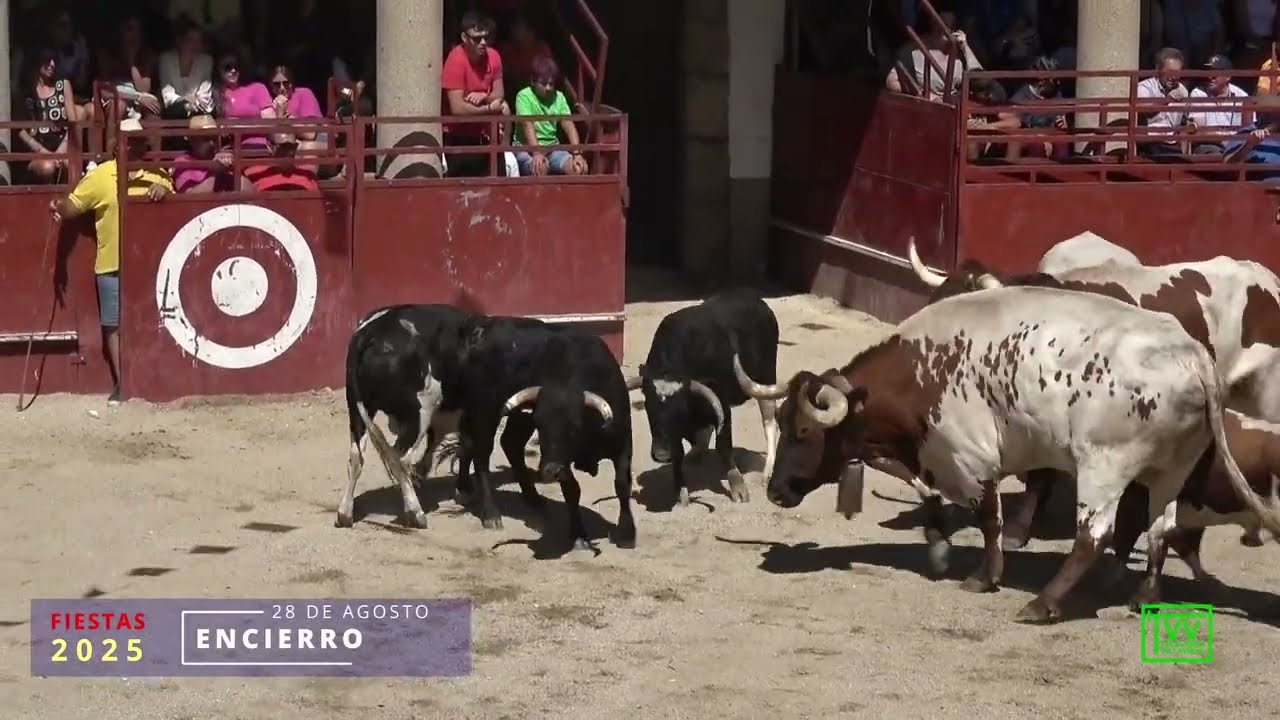 ENCIERRO 28 DE AGOSTO 2025 EN VILLAVIEJA