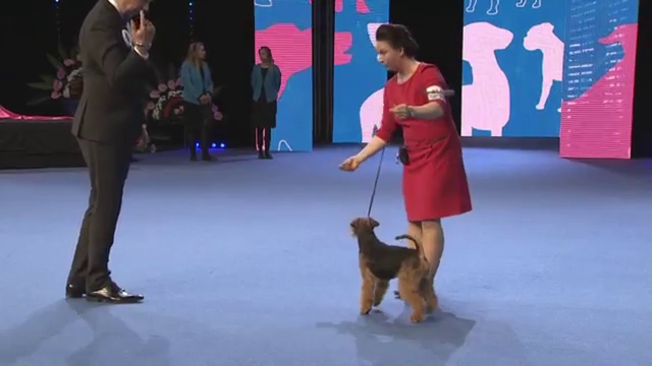 Voittaja 2015 - FCI 3