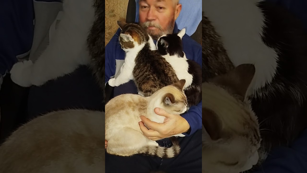 КОТОПАПА