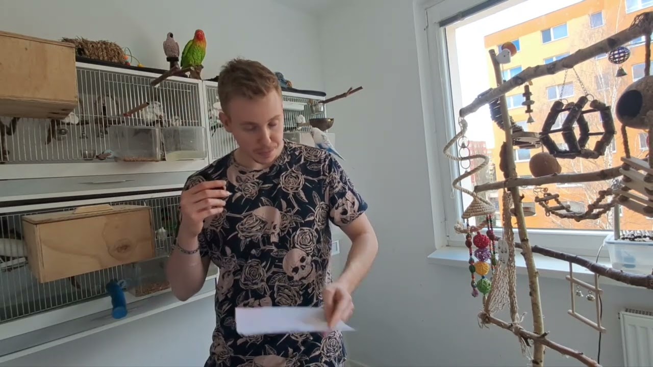 Rozmnožování andulek + něco navíc 🙉