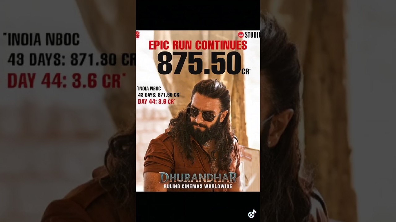 Dhurandhar Movie  Net Box Office Collection🔥🔥