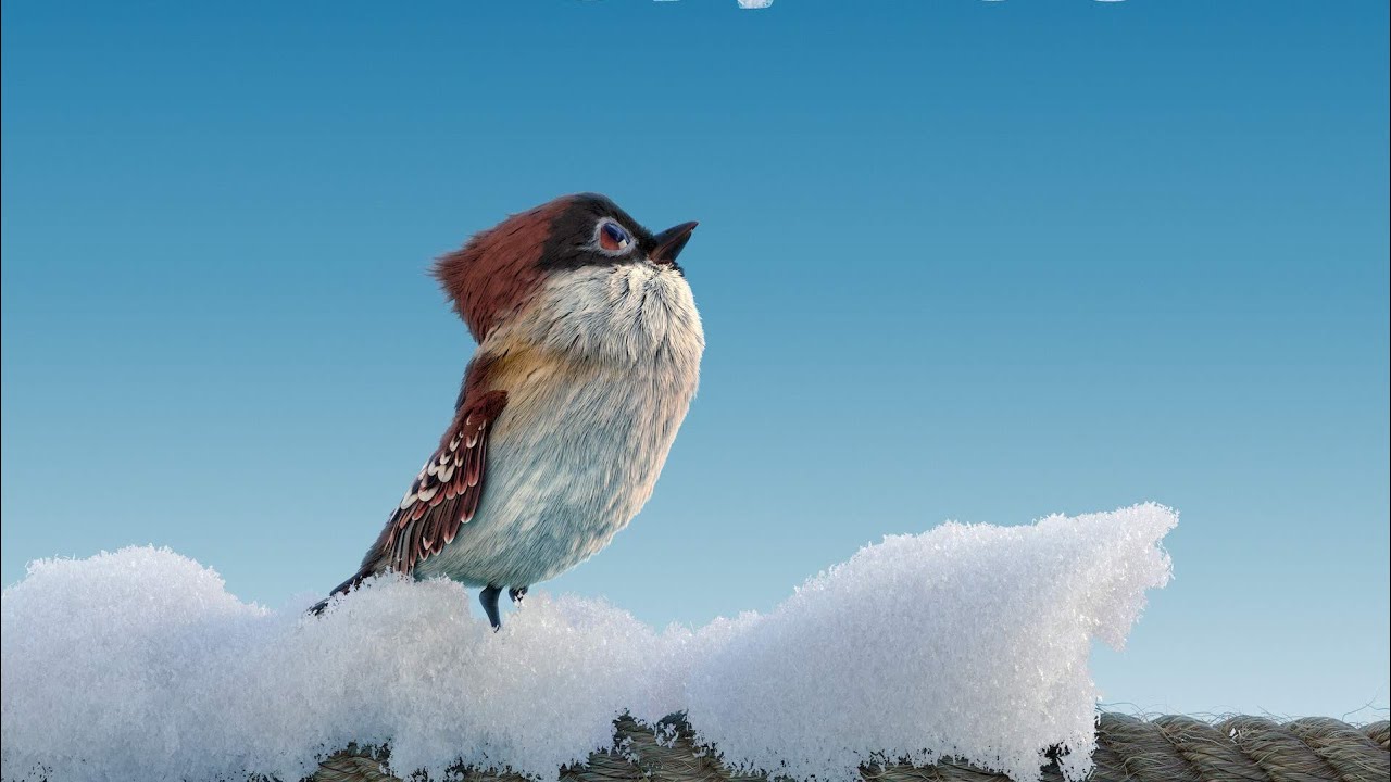 Tweet -Tweet  _Our Life Is Always On The Wire (Strong Minded Animated Movie)