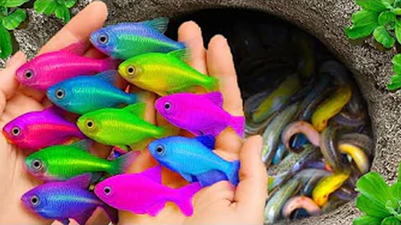 Backyard Fishing Secret REVEALED: You WON'T Believe What We Pulled Out! 🤯🎣