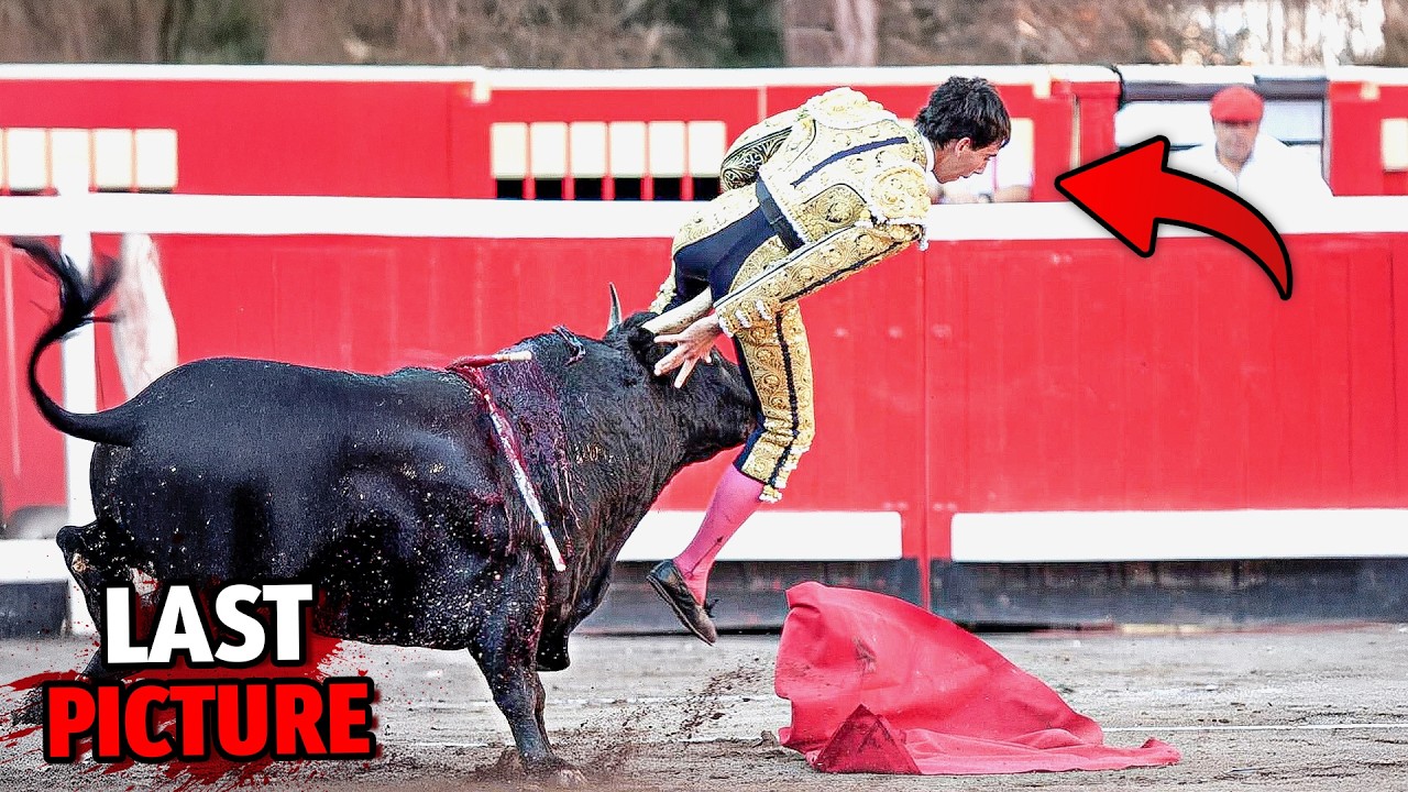 5 TRAGICALLY Stupid Deaths of All Time... (Part 7)