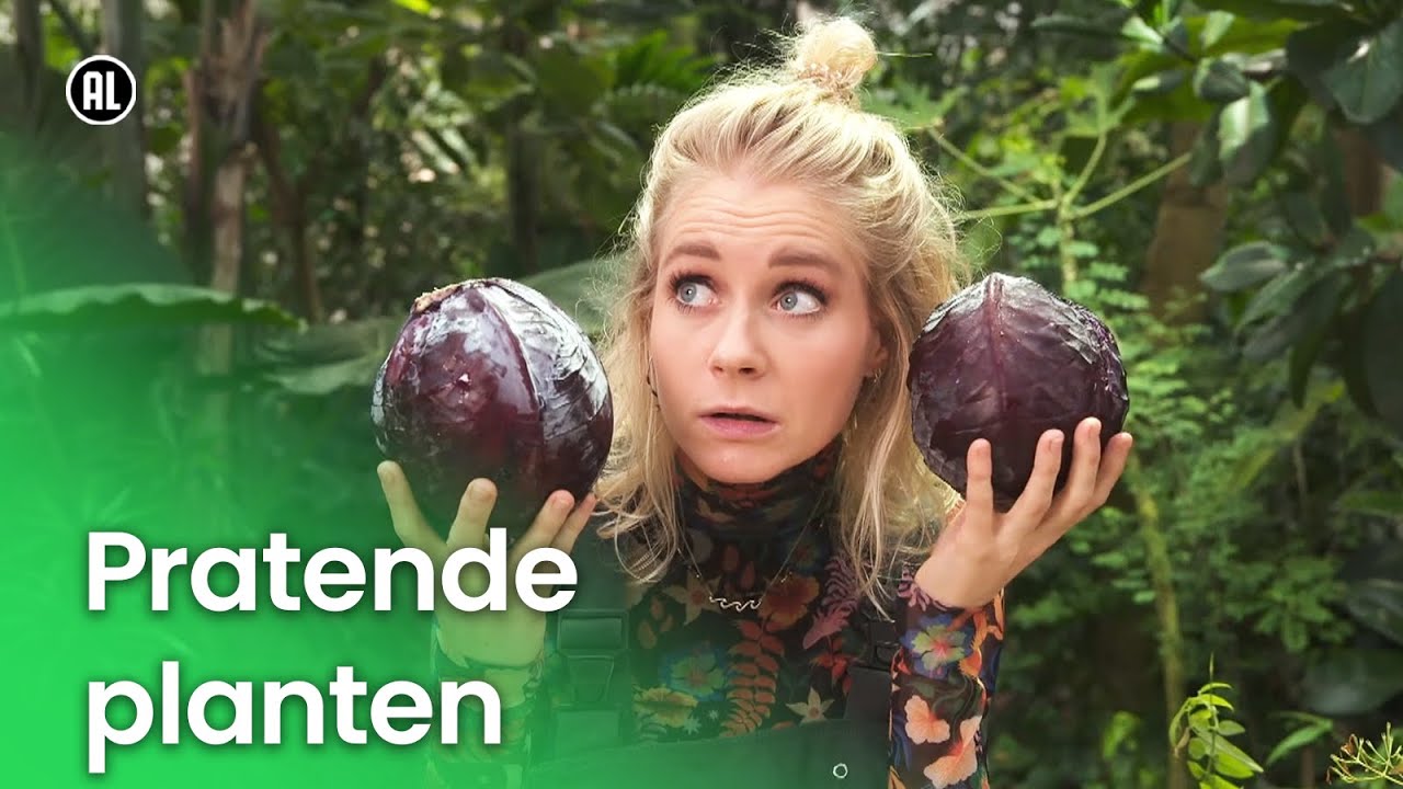 Pratende planten | Plantastisch