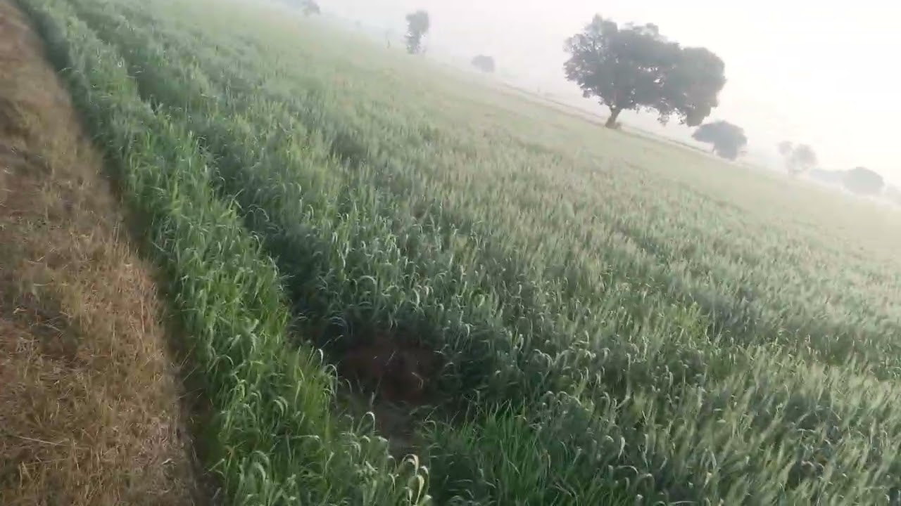 Ajj vlog nhi aa pya