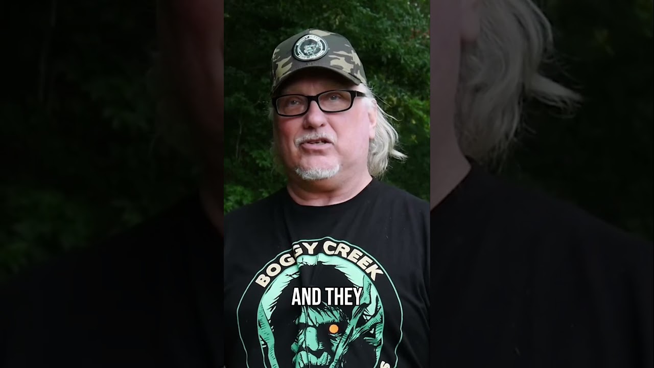 I Encountered the Boggy Creek Monster
