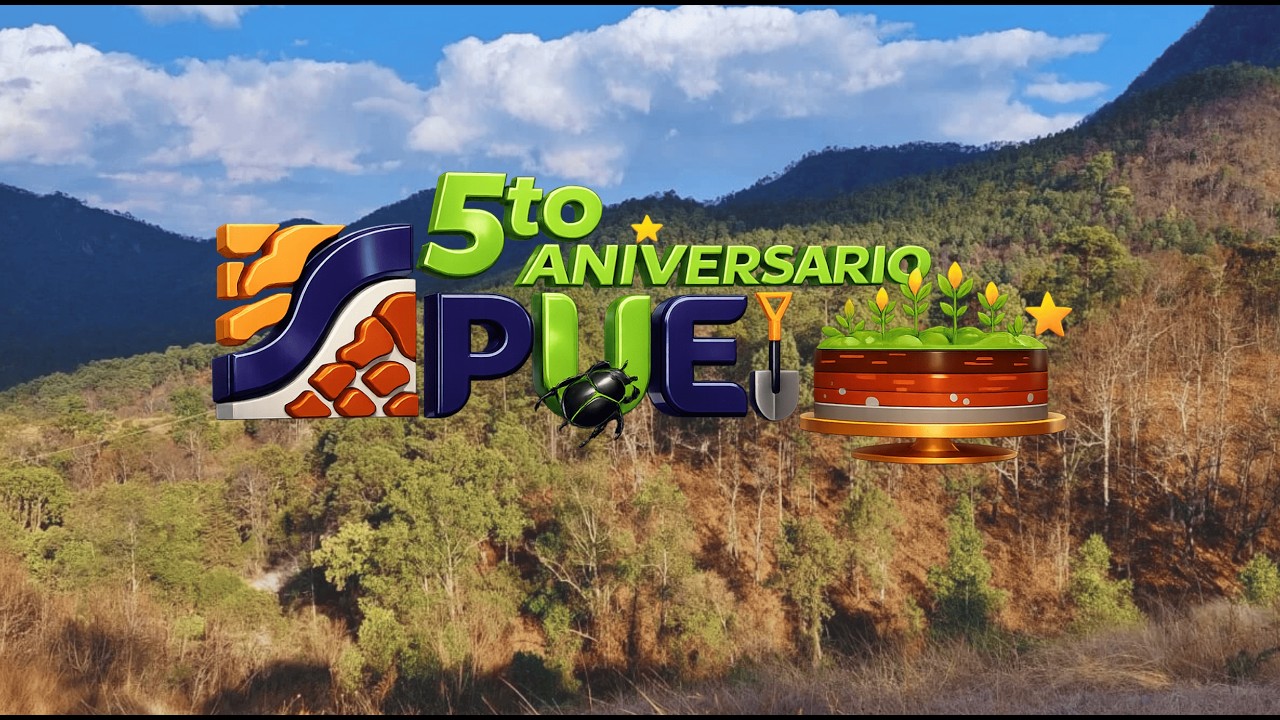 Video 5to Aniversario PUEIS