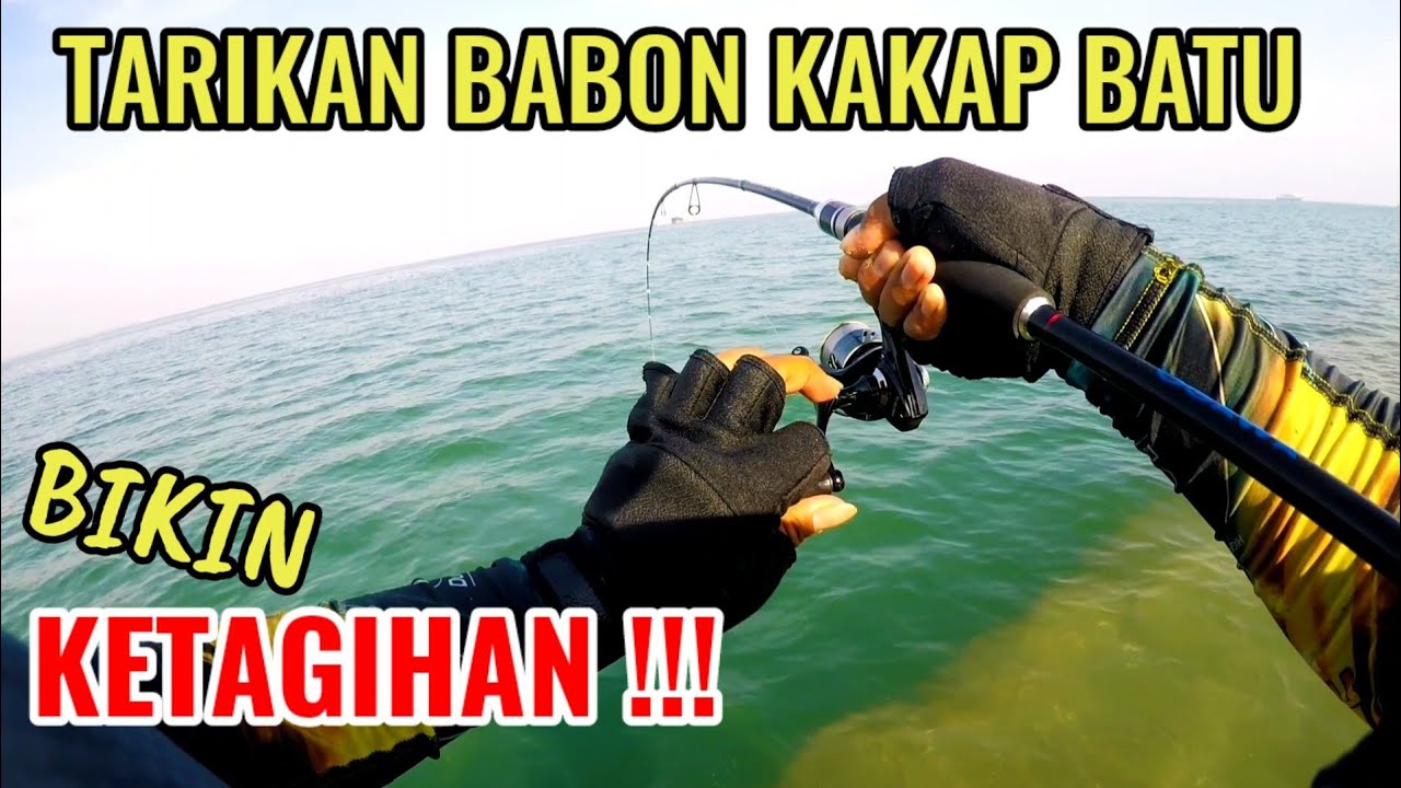 GACOR !!! Mancing Ikan Kakap Batu Pakai Umpan ini Yg Naik Babon Semua Bro 👍👍👍