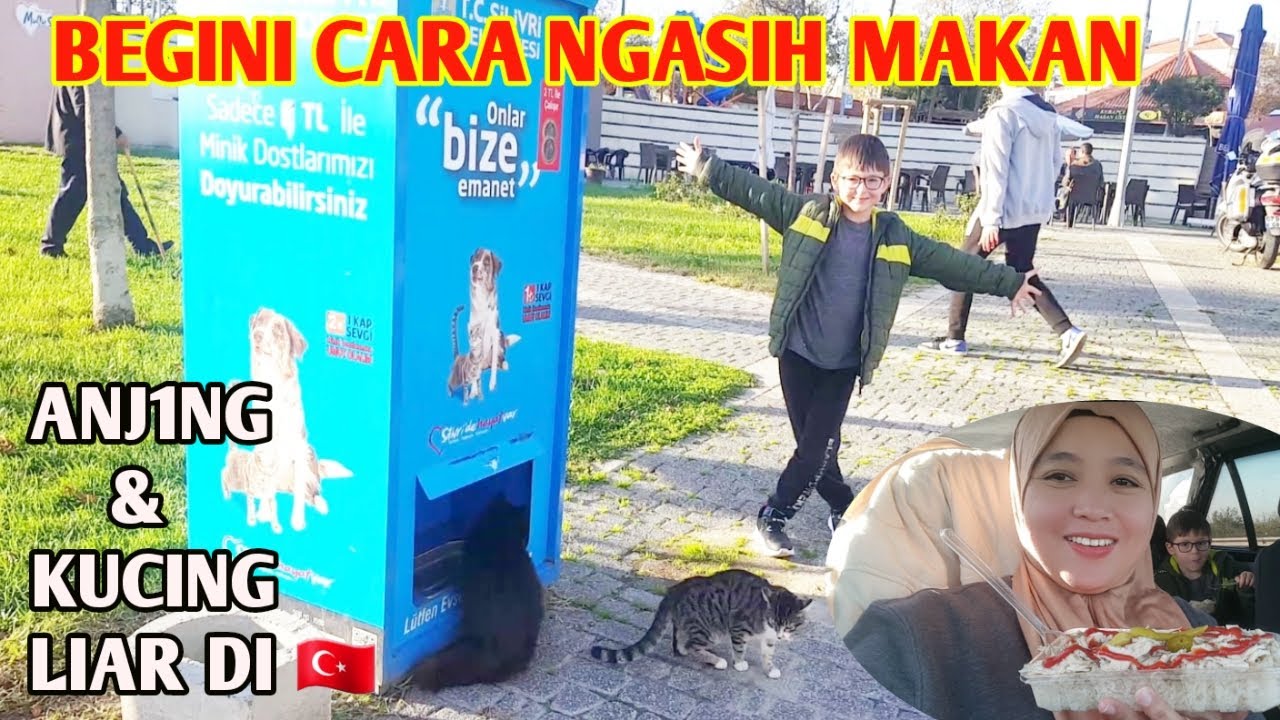 Begini Cara kasih makan 4njing dan kucing liar di turki.Beli Nasi goreng di pinggir jalan