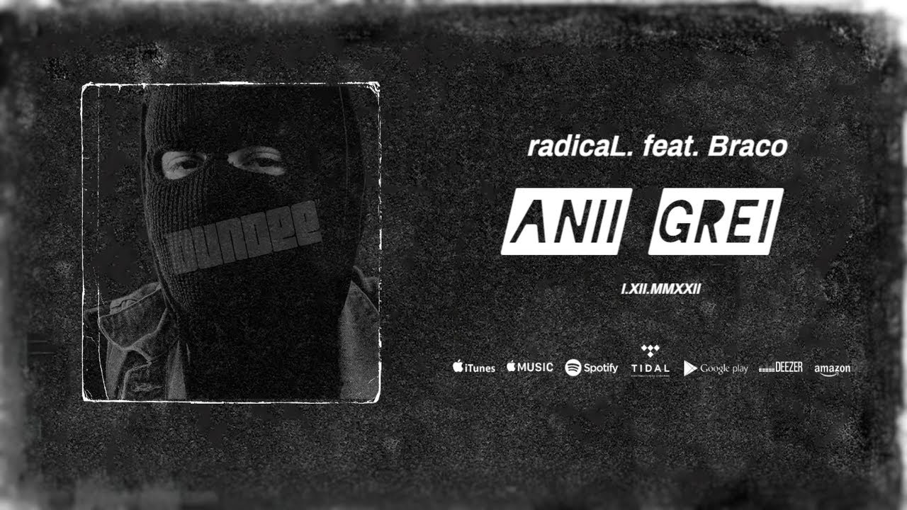 radicaL. feat. Braco - ANII GREI (Official Audio)