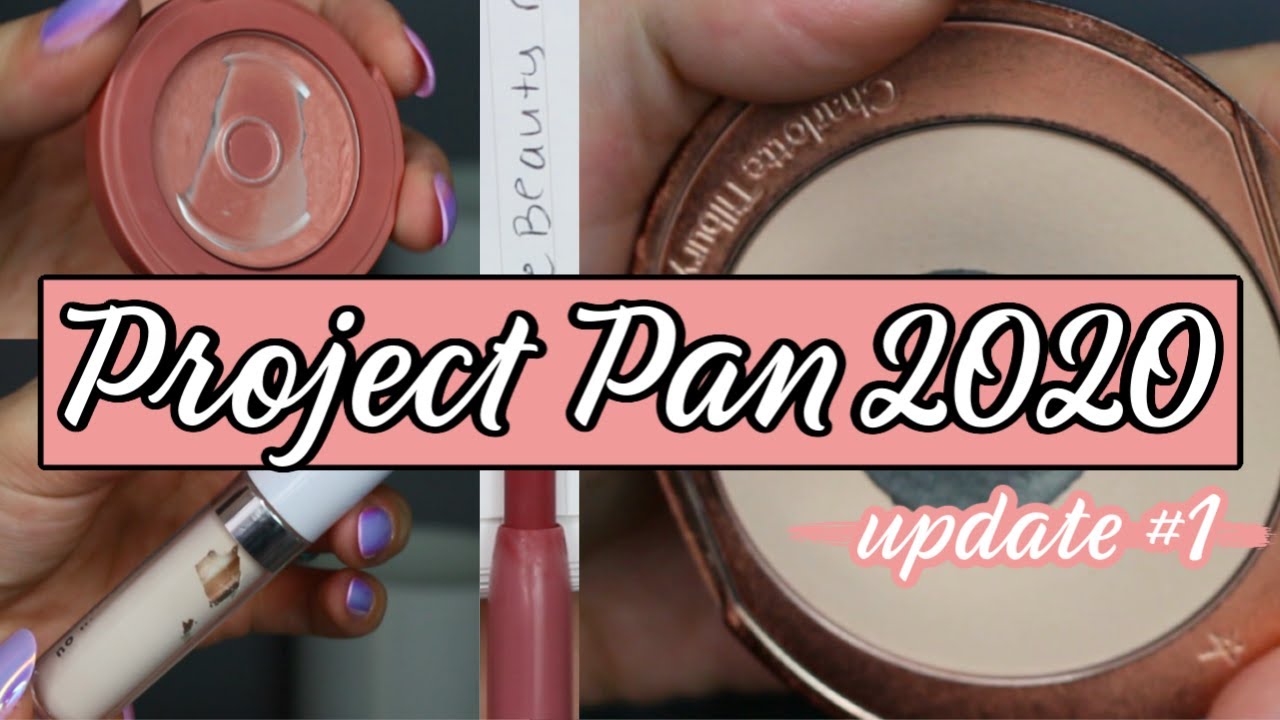 PROJECT PAN 2020: Update #1