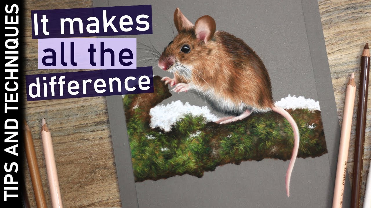 Mouse drawing in pastels | The steps I would never miss out