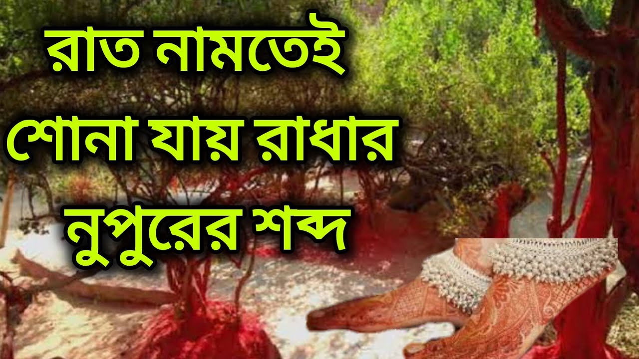 বৃন্দাবনের নিধিবনের অলৌকিক রহস্য। রাধা কৃষ্ণ কি সত্যিই আসেন এখানে? Vrindavan nidhivan mystery