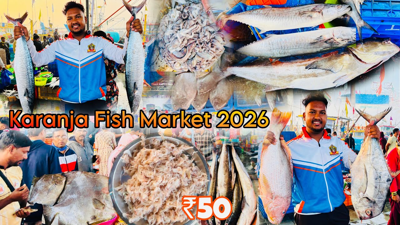 Karanja Fish Market 2026 फक्त ५० रुपयांपासून मासळी 😱 | Cheap & Fresh Fish | Latest Update | 