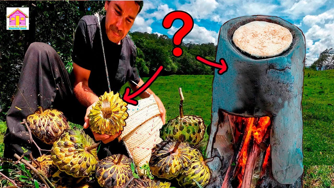 buscando FRUTAS SILVESTRES Y cocinando CASABE, la vida del campo