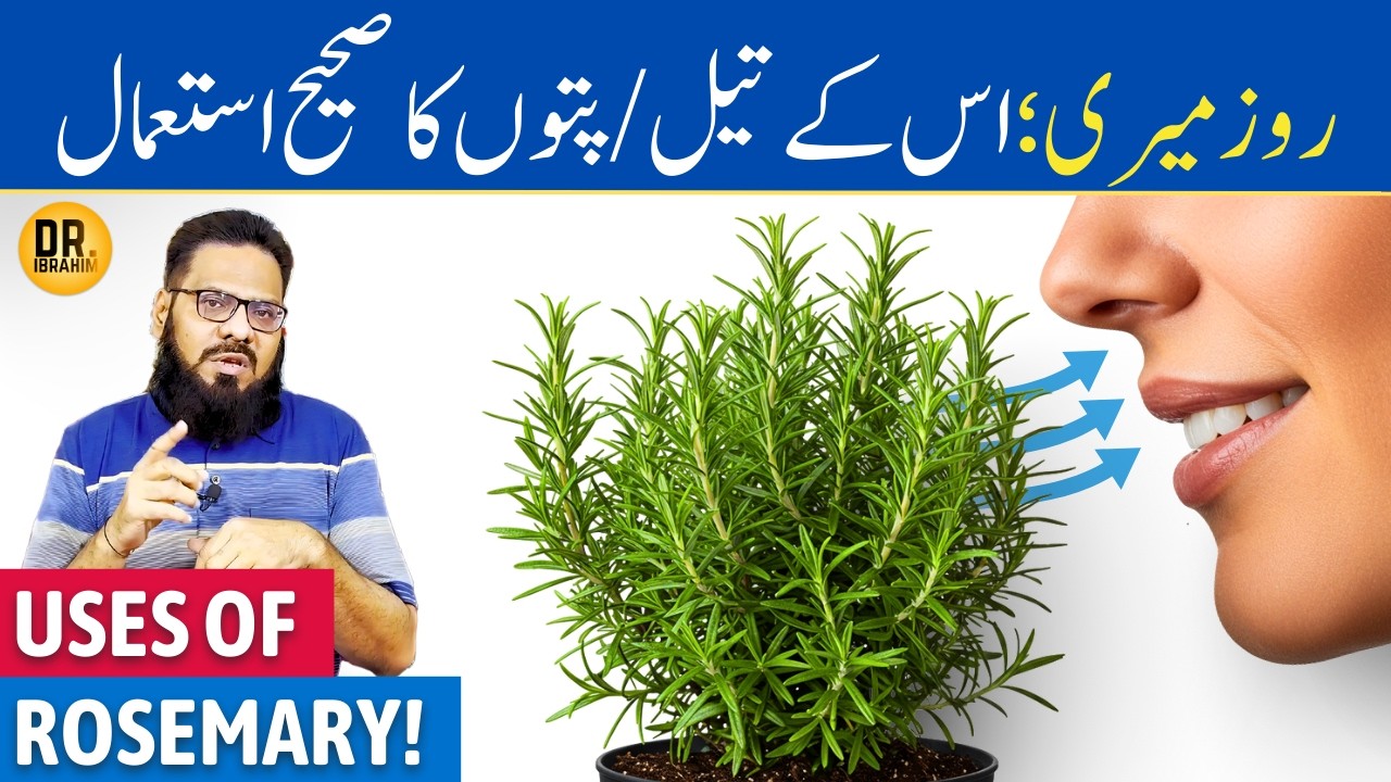 Rosemary Ke Patte/Oil Ke Fayde | Rosemary Leaves/Oil Benefits & Uses | Dr. Ibrahim