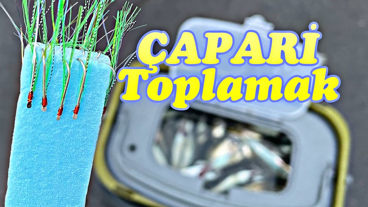 Av Sonrası Çapari Nasıl Toplanır ?İstavrit Çaparisi Köpüğe Nasıl Sarılır ?