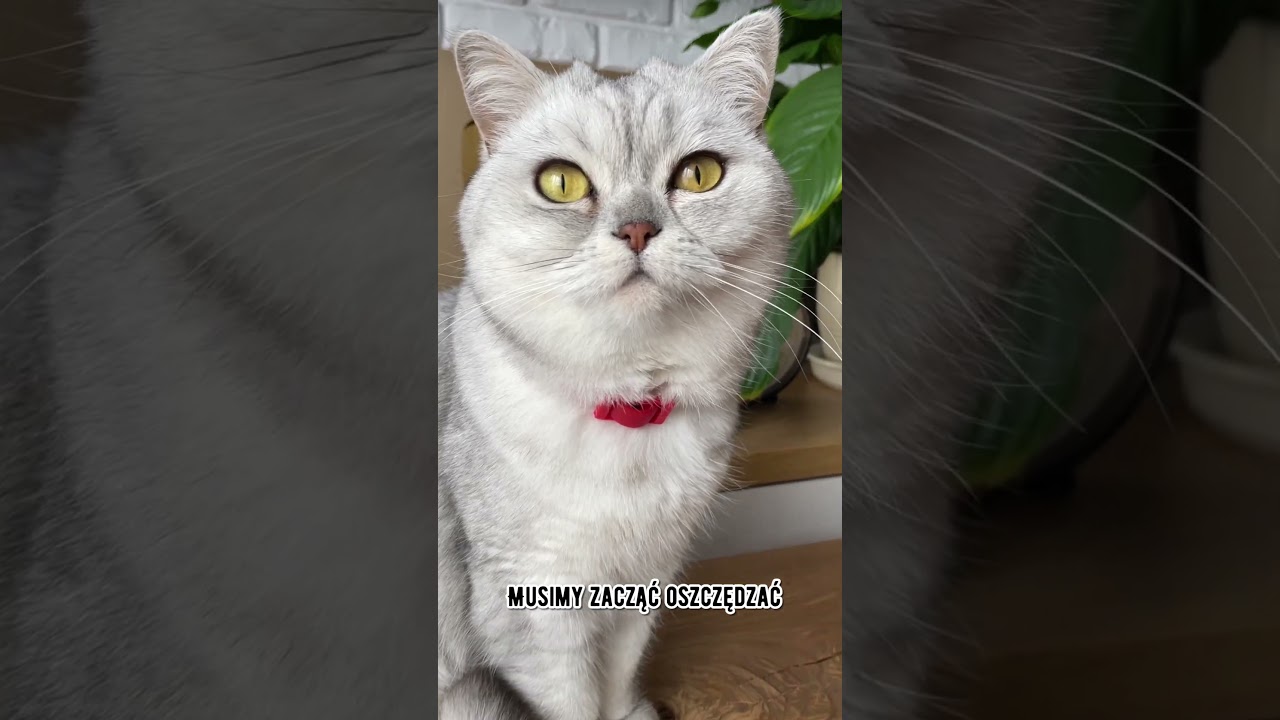 A co my tutaj mamy&hellip; ??