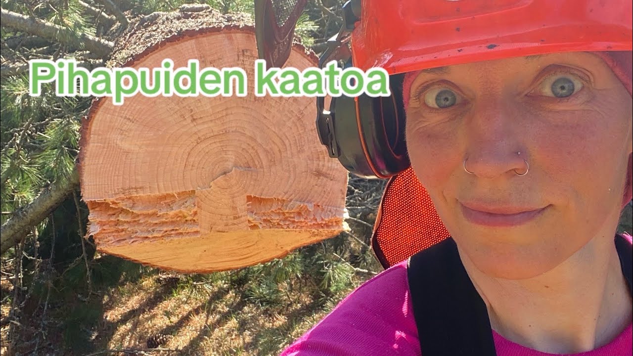 Muutama pihapuun kaato toukokuun helteessä