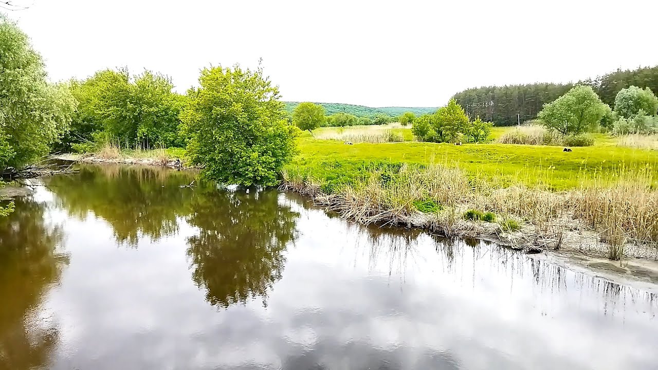 СКИФСКОЕ ГОРОДИЩЕ 