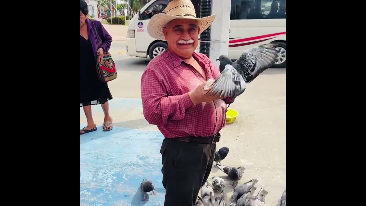 Por esto se le conoce como el hombre de las Palomas