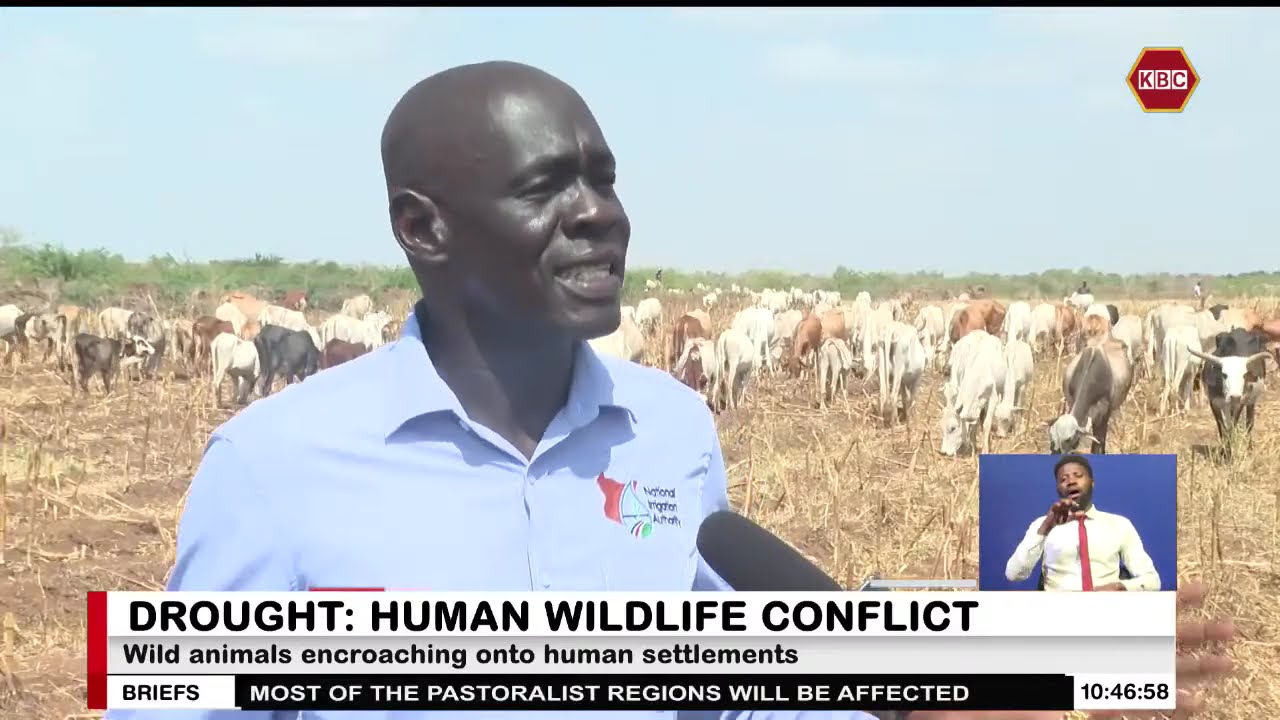 Drought and human wildlife conflict