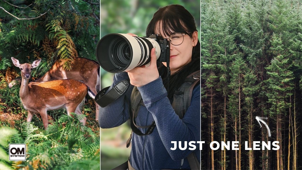 Nature Through One Lens: Trying the OM system 50-200mm f/2.8 IS PRO