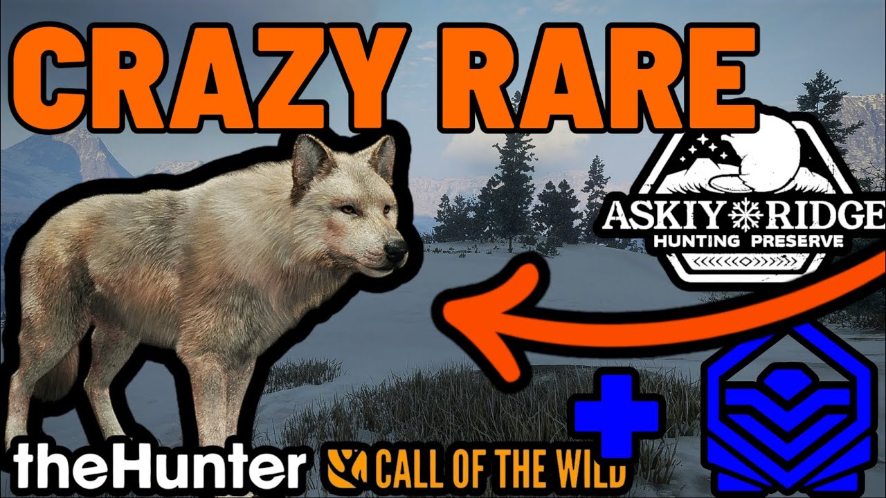 RARE & DIAMOND WOLF ON ASKIY RIDGE! - Call of the Wild