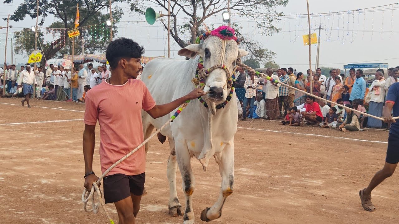 మాచవరం న్యూ కేటగిరి 2వ