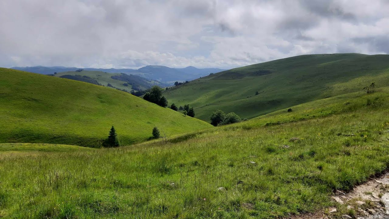 Baia de Aries: explorarea pe doua roti a imprejurimilor Varfului Poienita