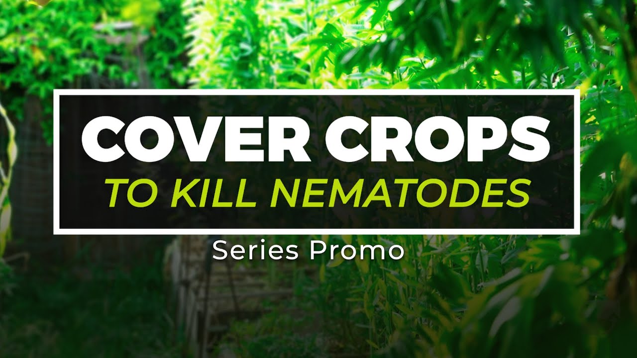 How to Eliminate Nematodes with a Surprising Farming Technique! (Series Promo)