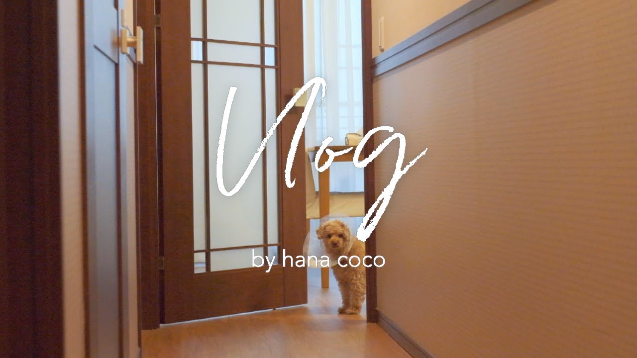 【vlog】最近の日々 / 新しいガスコンロ /  京都桜散歩｜暮らしのブイログ