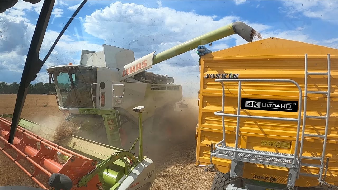 Ernte Futtererbsen 07/ 2020 mit Claas LEXION 750 in 4k  [GoPro Hero8 black]