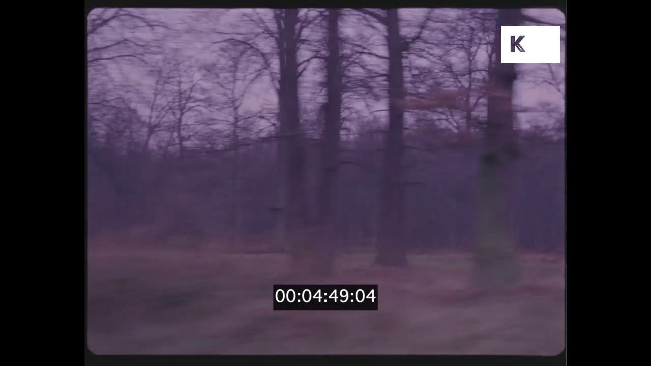 1970s, 1980s Drive Through UK Woodlands, 35mm