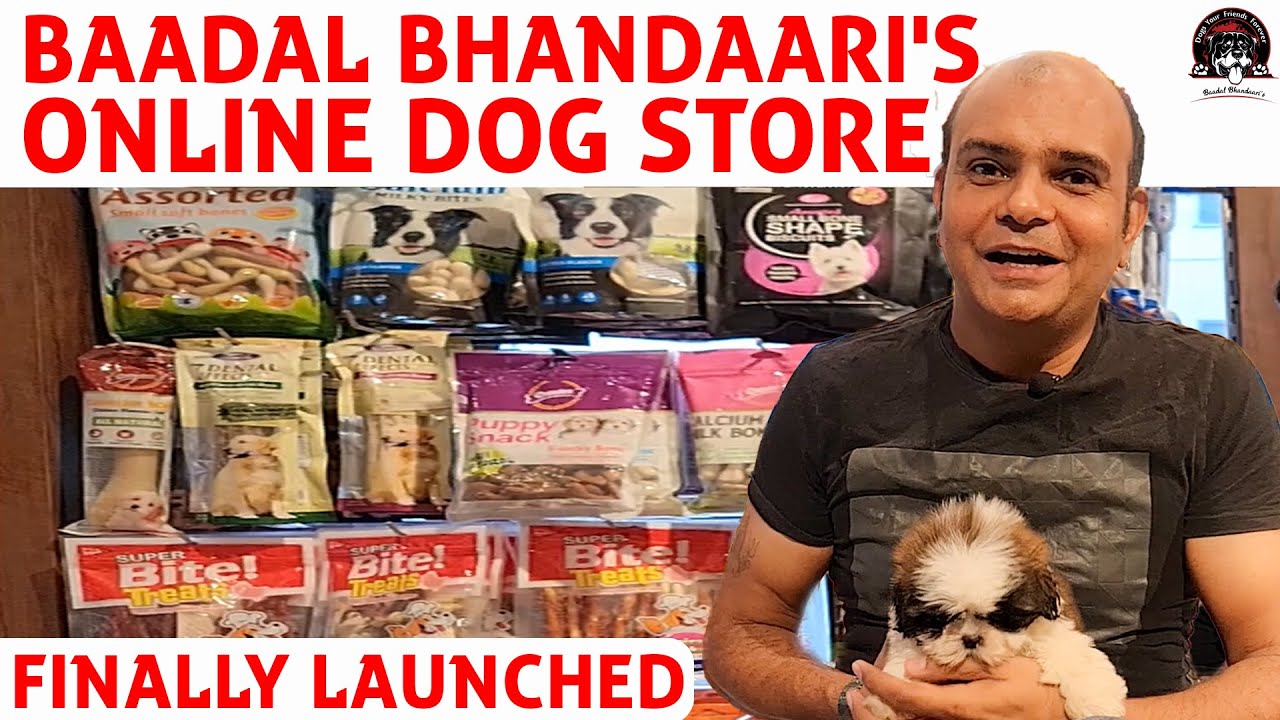 www.dogomart.com Online Dog Store | Website Launch | Pet Food Treat & Accessories | Baadal Bhandaari
