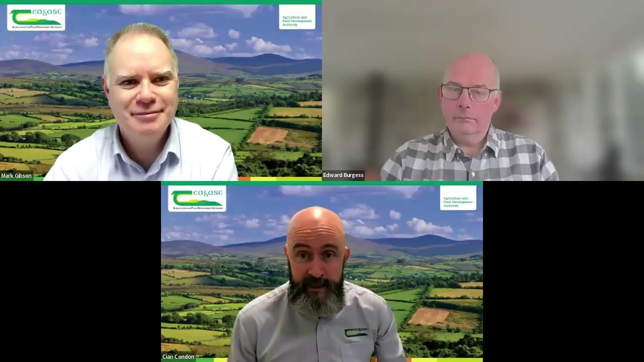 Signpost Series: Understanding N loss in Agricultural Catchments