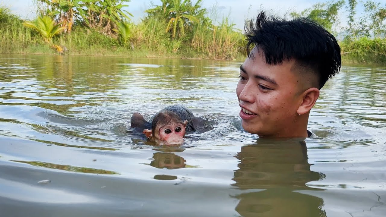 Monkey Luk's special pool😍! Luk and dad swimming performance