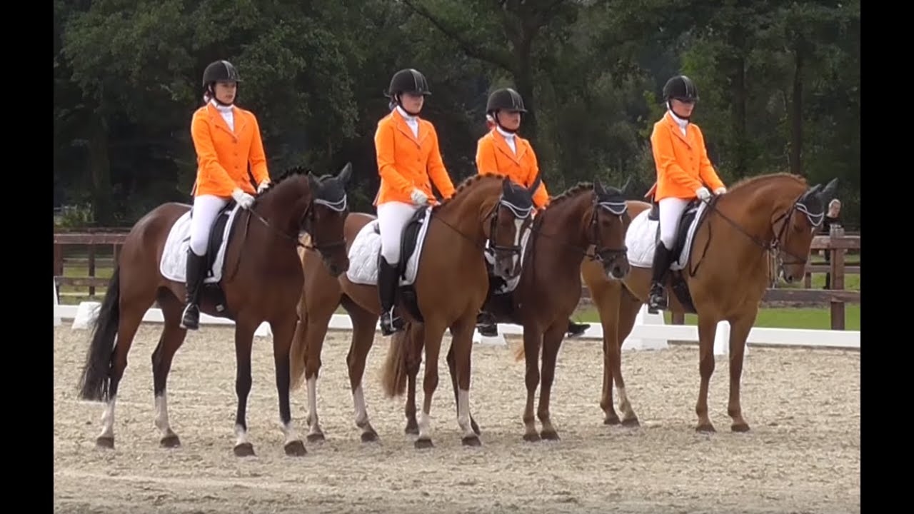 Kür op muziek viertal M-pony's Research Drive's Kasteelruiters - Drentse Kampioenschappen 13-8-2016