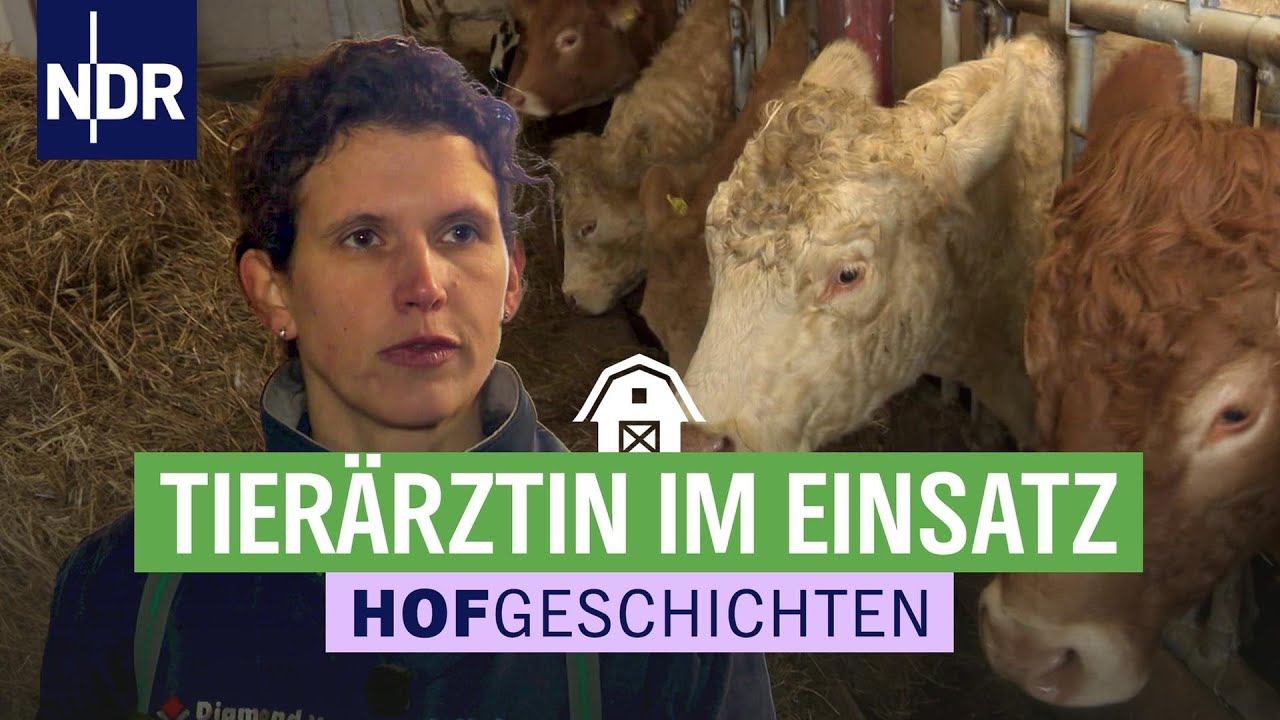 Hoffnung auf Nachwuchs: Tierärztin kontrolliert die Kühe | Hofgeschichten: Leben auf dem Land (309)