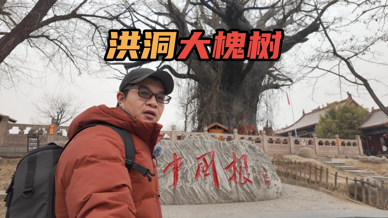 [Eng Sub]山西洪洞大槐树，全球华人的寻根圣地，看看你的祖先是否来自这里｜Hongtong Big Sophora Tree