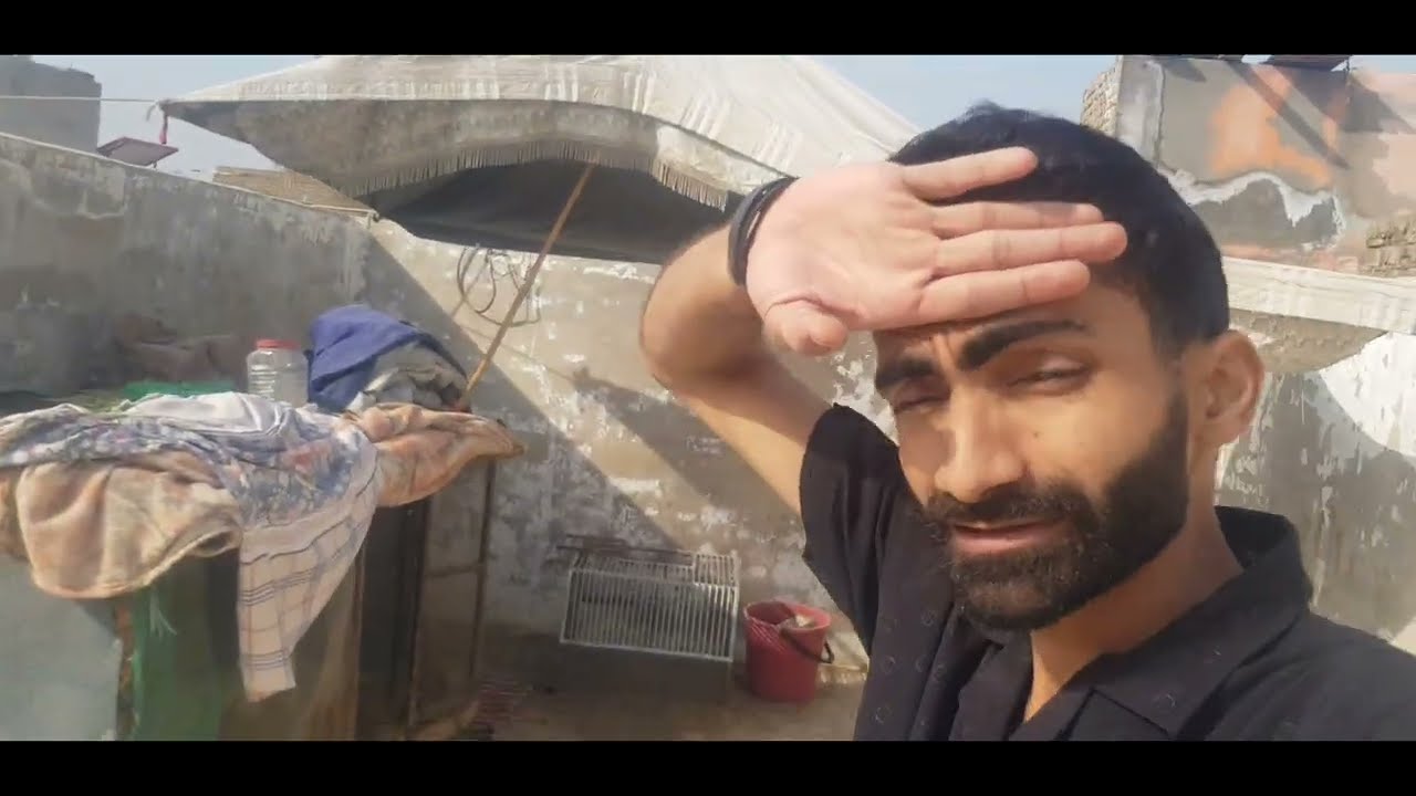 Village Chicken Hunt 😎🐓