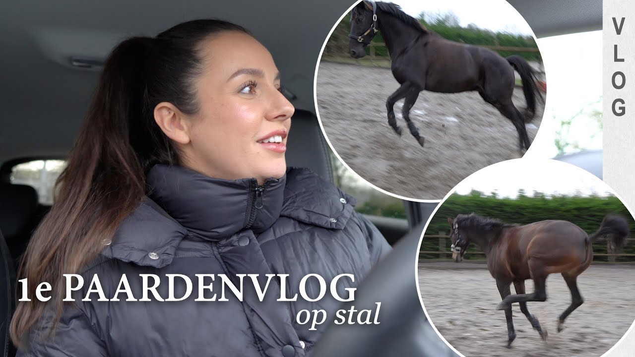 1e paardenvlog & ze gaan los 😂 | PAULIEN OP STAL #VLOG1