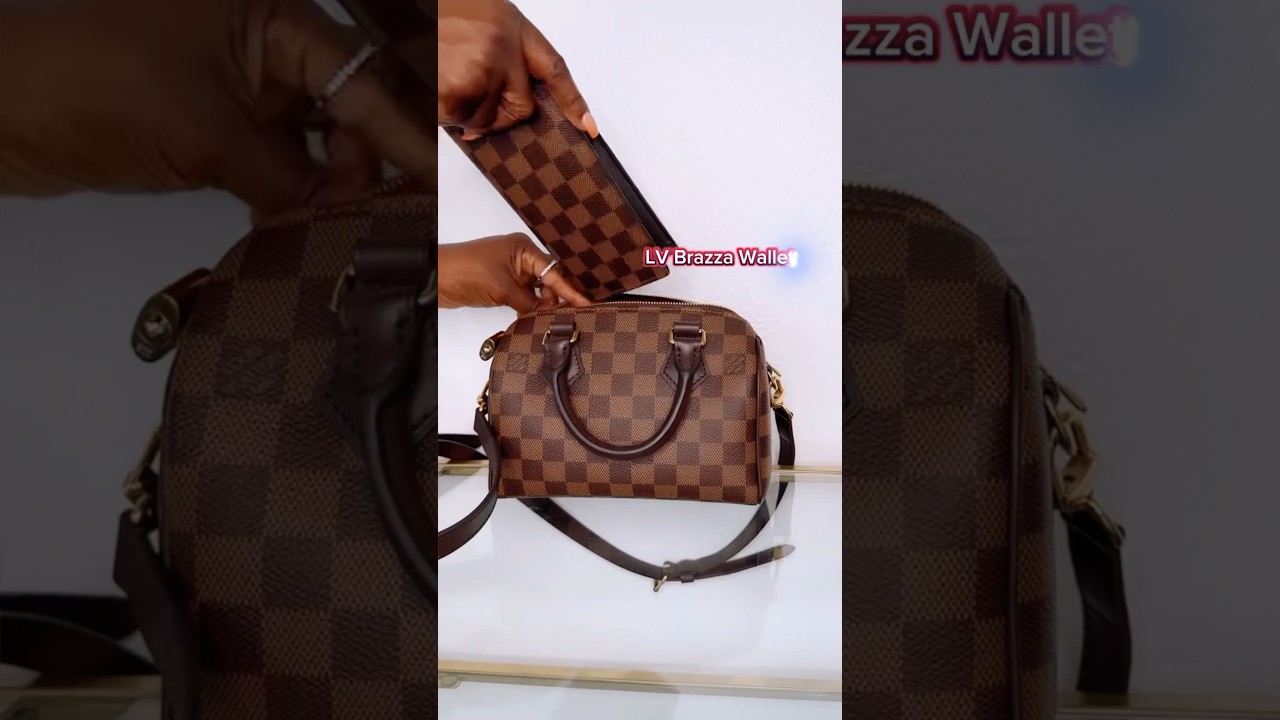 WHAT FITS IN MY LOUIS VUITTON DAMIER EBENE SPEEDY 20 