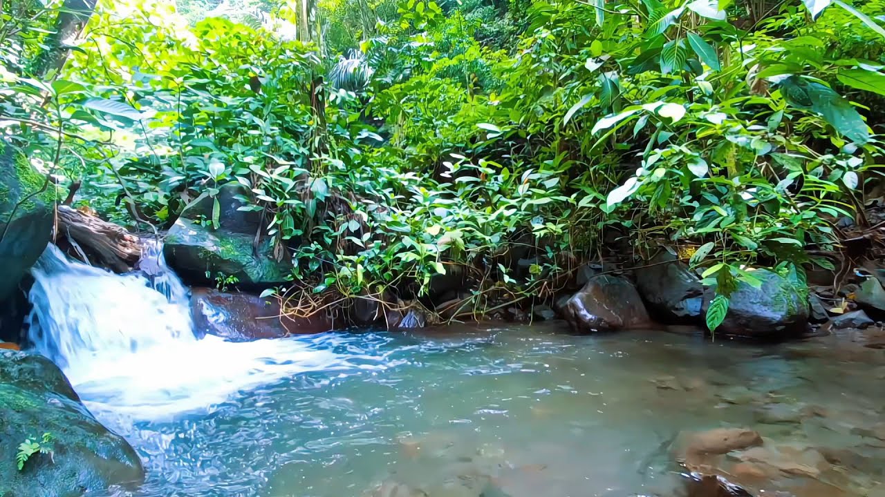 Calm River Ambience for Deep Relaxation