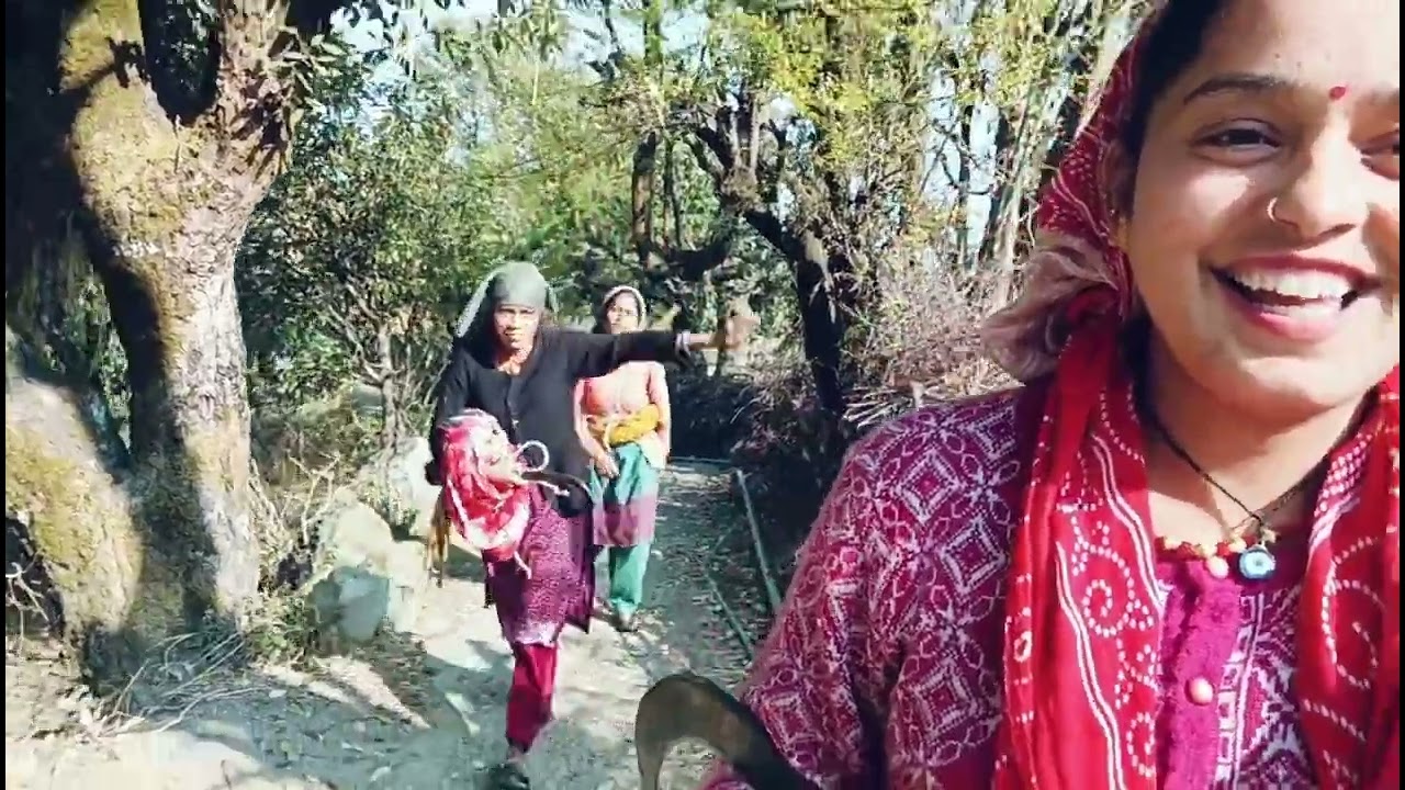 आज गए हम जंगल | गाँव की जिंदगी का एक दिन | Jungle Vlog