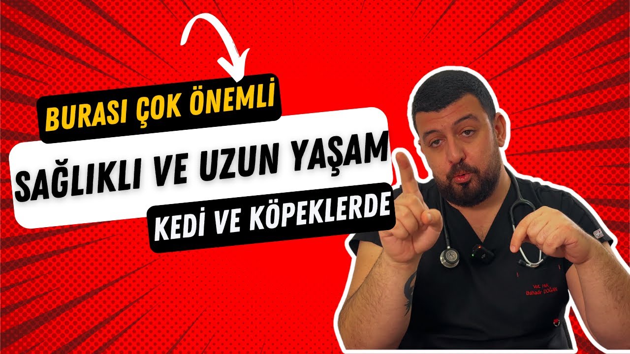 Kedi ve Köpeklerde 