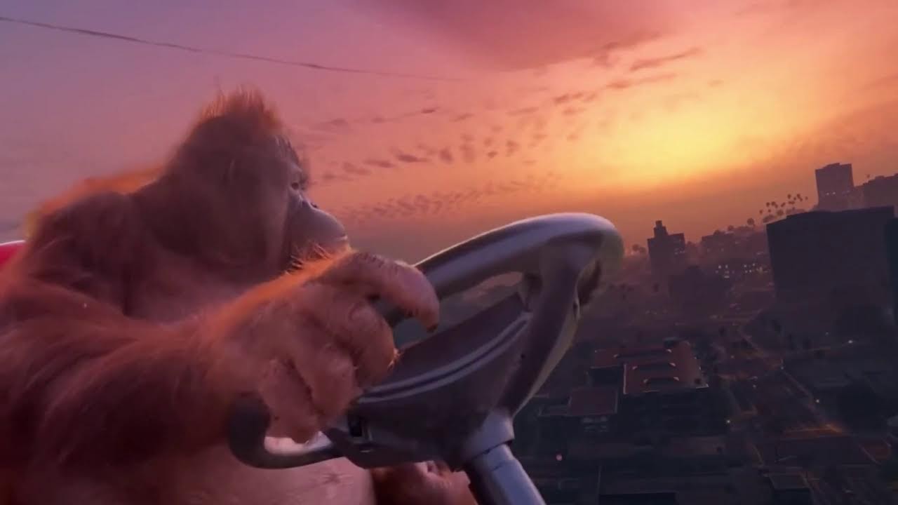 Bora de Hearstone #3